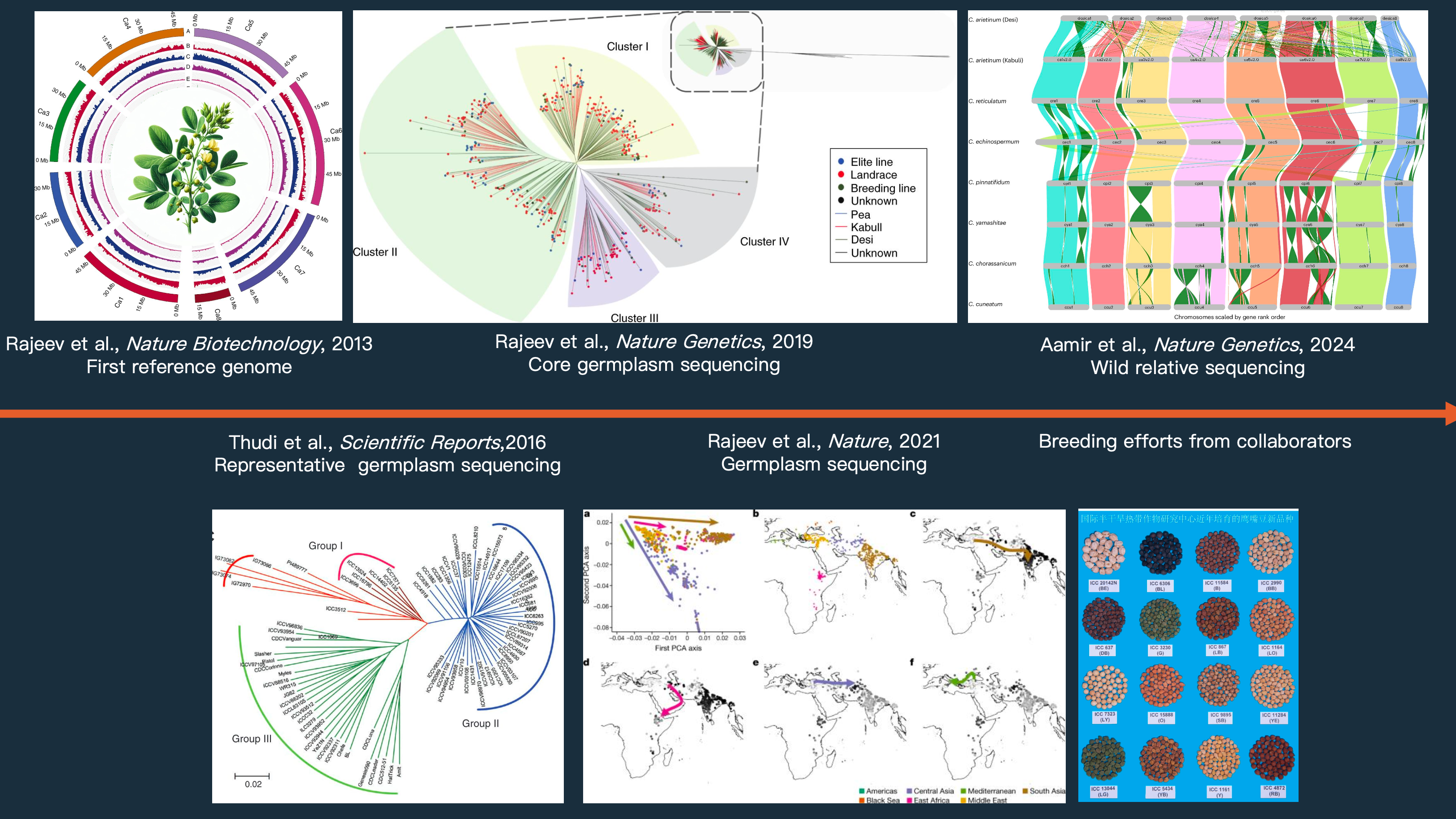 Chickpea genome research