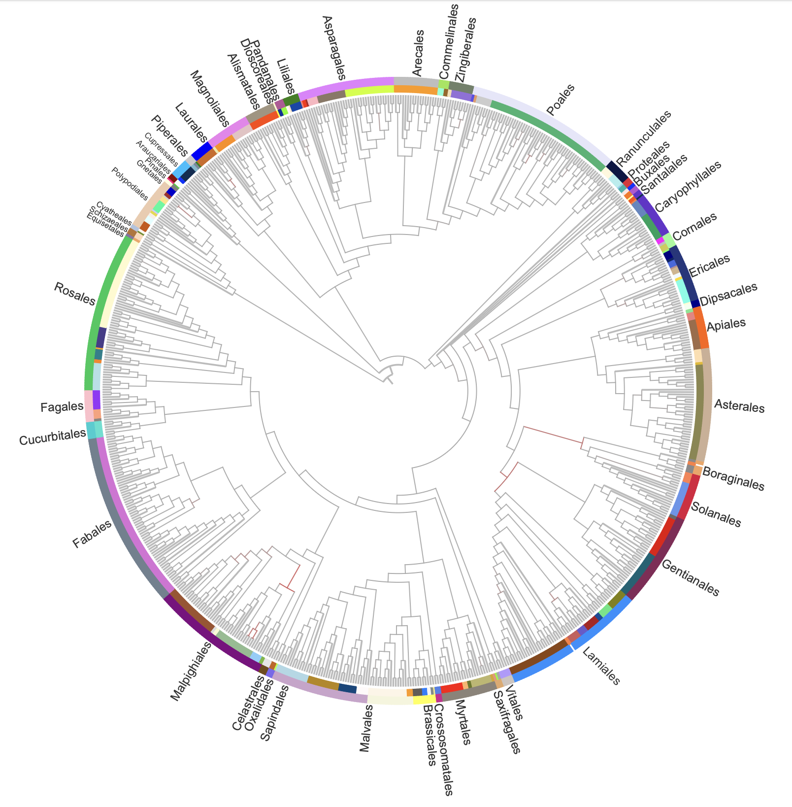 Molecular Digitization of a Botanical Garden: High-Depth Genome Sequencing of 689 Vascular Plant Species