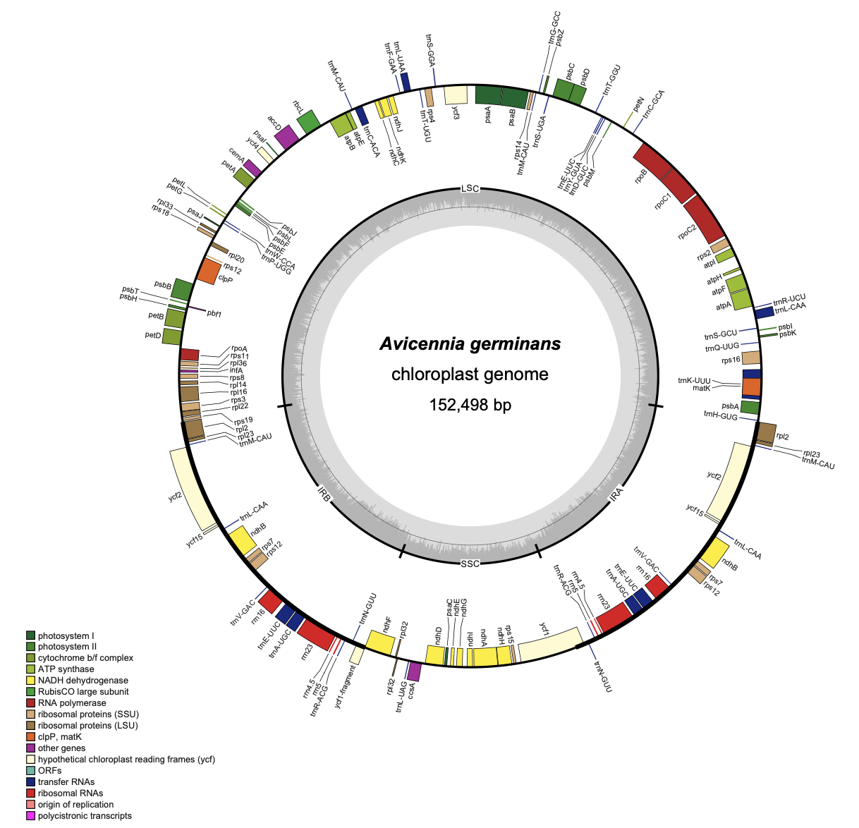 Lineage-Specific Evolution of Mangrove Plastid Genomes