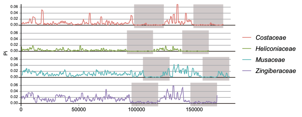 Conserved Chloroplast Genomes of Heliconia Revealed
