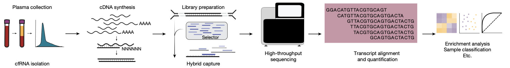 Sensitively detect cfRNA - RARE-seq
